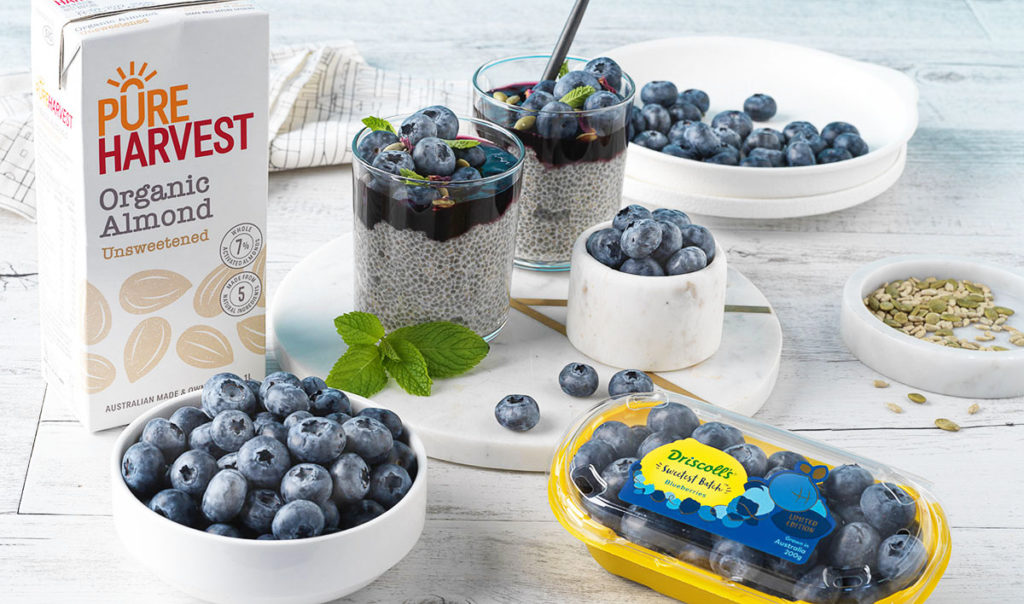 overnight-blueberry-chia-pudding