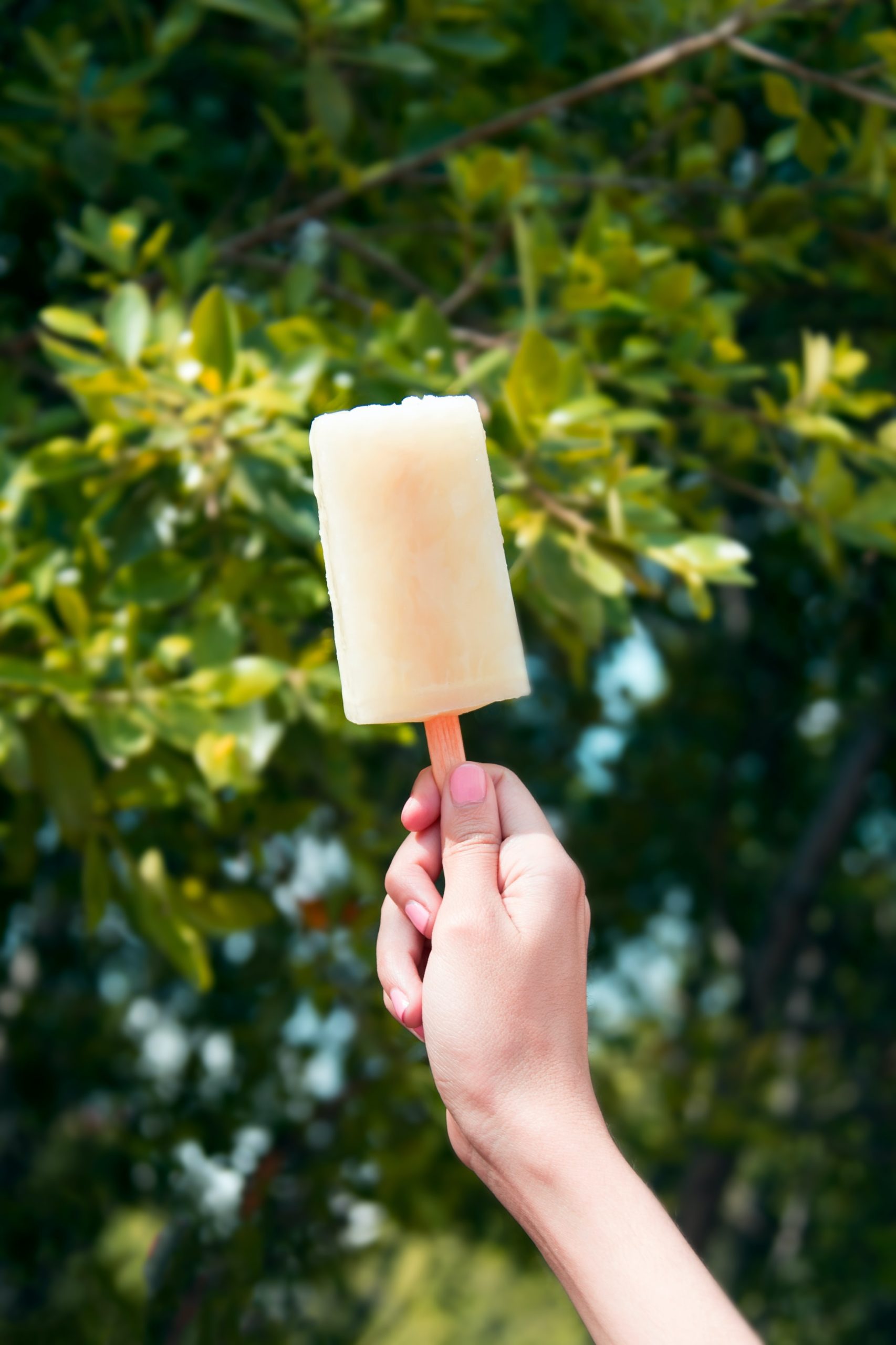 apple-and-pear-popsicles