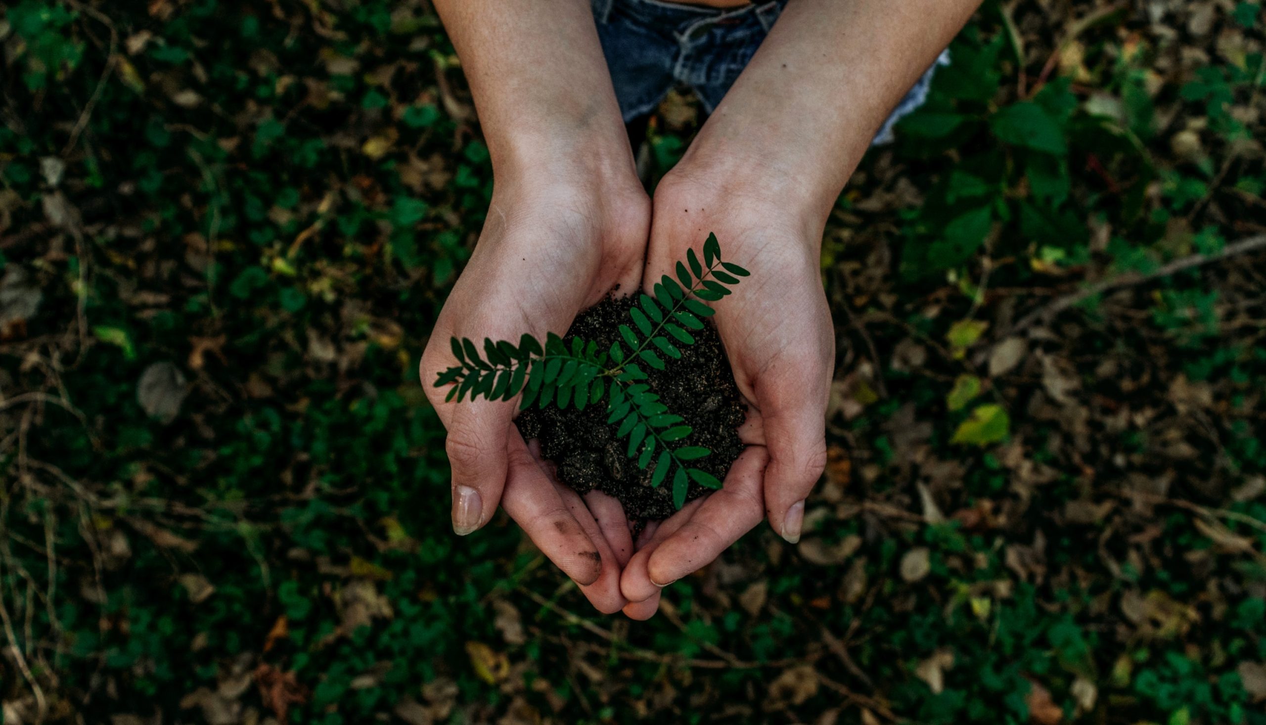 easy-ways-to-be-more-eco-conscious-this-year